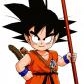 Son Goku's Photo